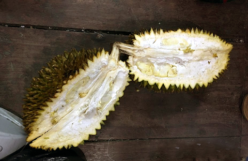 Nguyên nhân sầu riêng dày vỏ