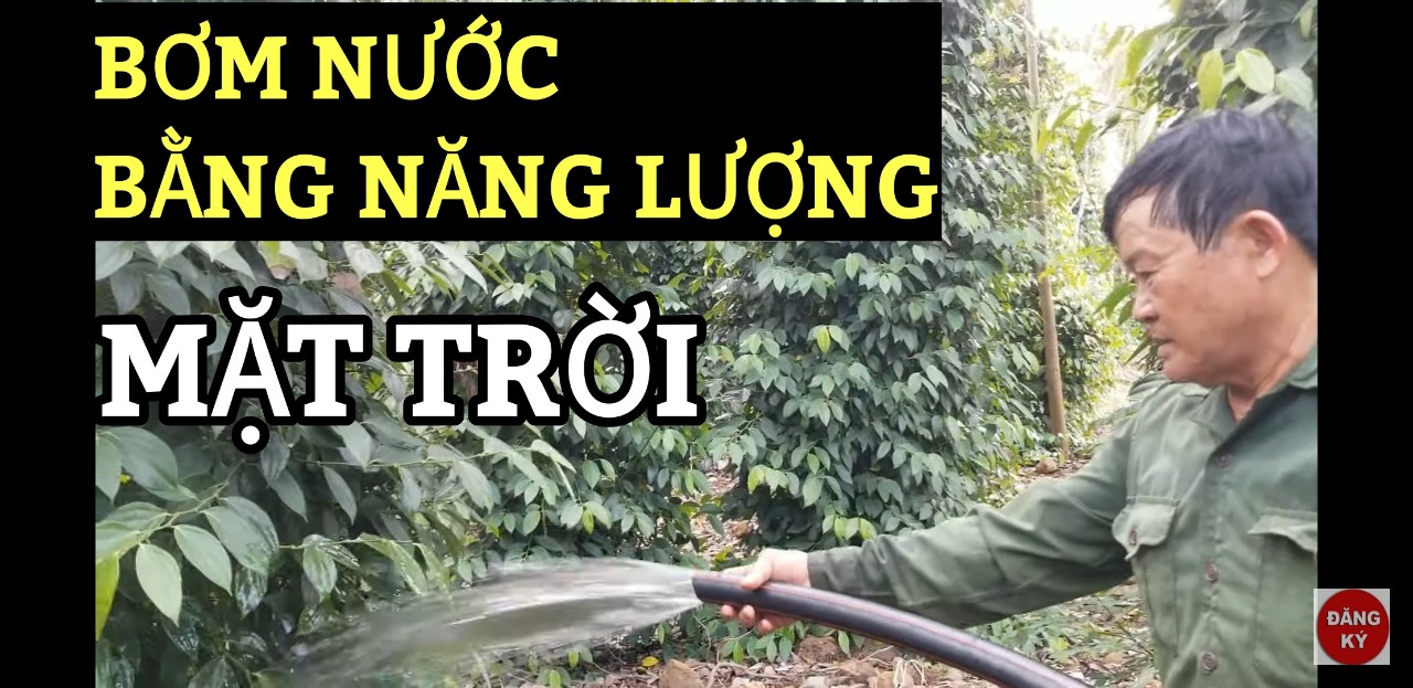Điện Mặt Trời Độc Lập Cho Máy Bơm Nước Tại Bà Rịa - Vũng Tàu