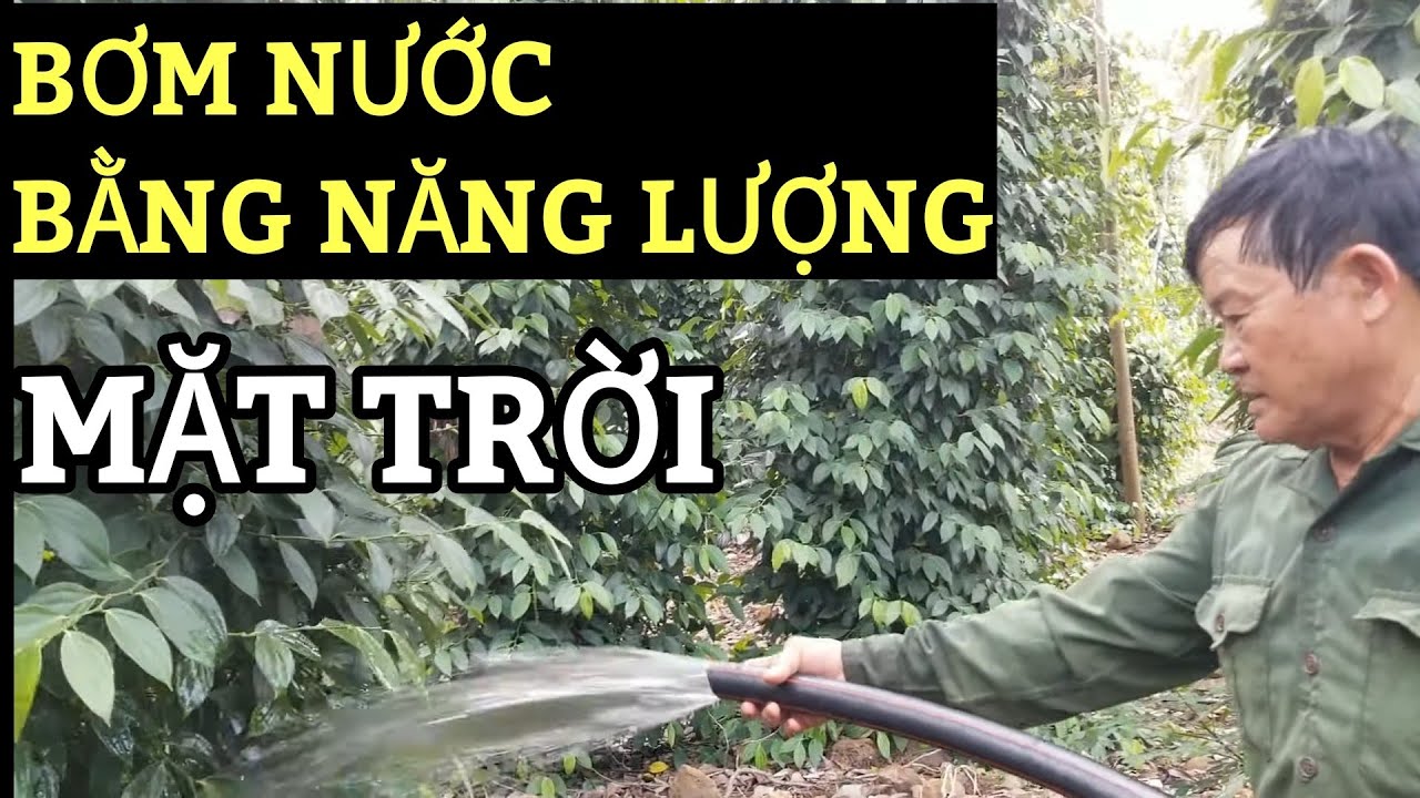 Nông Nghiệp 4.0 - Ứng dụng hệ thống tưới tiêu bằng năng lượng mặt trời trong nông nghiệp