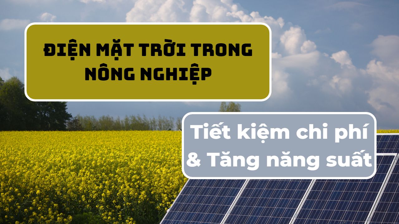 Điện năng lượng mặt trời - Giải pháp mới cho nông nghiệp tương lai