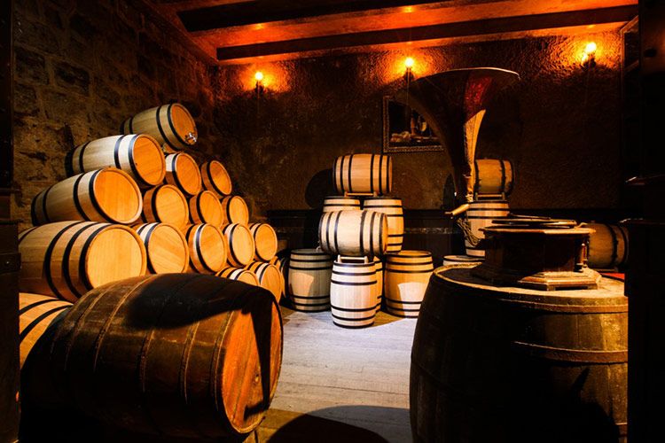 Thiết kế hầm rượu thùng gỗ sồi