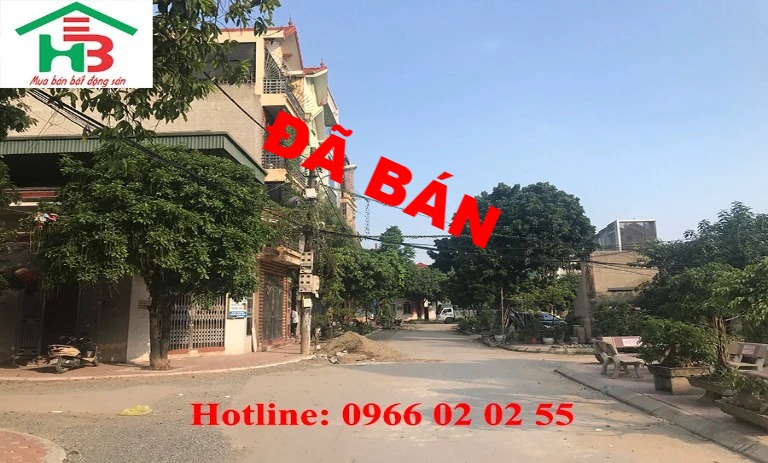 Cần bán nhanh 90m2 đất đấu giá Làng Cam, Cổ Bi, Gia Lâm, Hà Nội