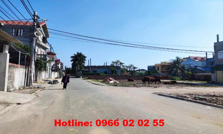 Chính chủ cần bán 77.5m2 đất đấu giá thôn Cổ Giang, Lệ Chi, Gia Lâm. Đường oto tránh. Giá đầu tư.
