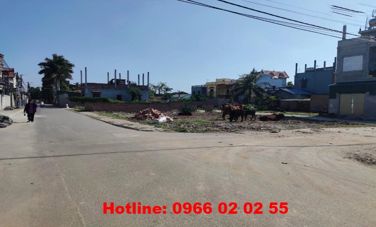 Chính chủ cần bán 77.5m2 đất đấu giá thôn Cổ Giang, Lệ Chi, Gia Lâm. Đường oto tránh. Giá đầu tư.