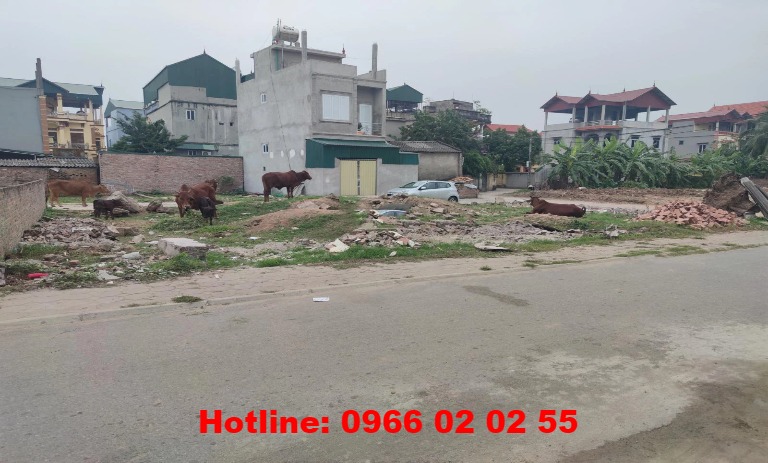 Chính chủ cần bán 77.5m2 đất đấu giá thôn Cổ Giang, Lệ Chi, Gia Lâm. Đường oto tránh. Giá đầu tư.