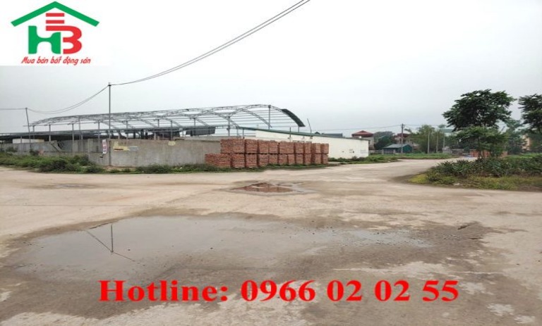 Cần bán nhanh lô đất đấu giá diện tích 85m2 tại dự án khu đô thị mới Đình Tổ, Thuận Thành, Bắc Ninh.