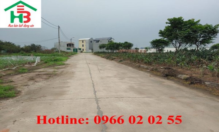 Cần bán nhanh lô đất đấu giá diện tích 85m2 tại dự án khu đô thị mới Đình Tổ, Thuận Thành, Bắc Ninh.