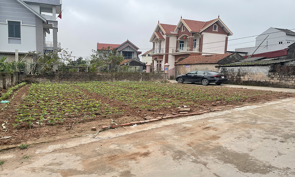 Bán gấp 166m2 đất Bình Dân, Tân Dân, Khoái Châu, Hưng Yên. Giá đầu tư