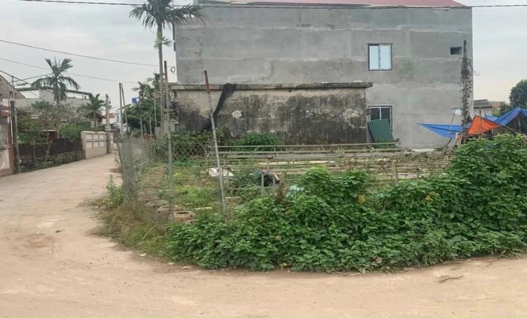 Cần tiền bán nhanh lô góc 185m2 tại Hoàng Trạch, Mễ Sở, Văn Giang đường oto 7 chỗ chạy vòng quanh.