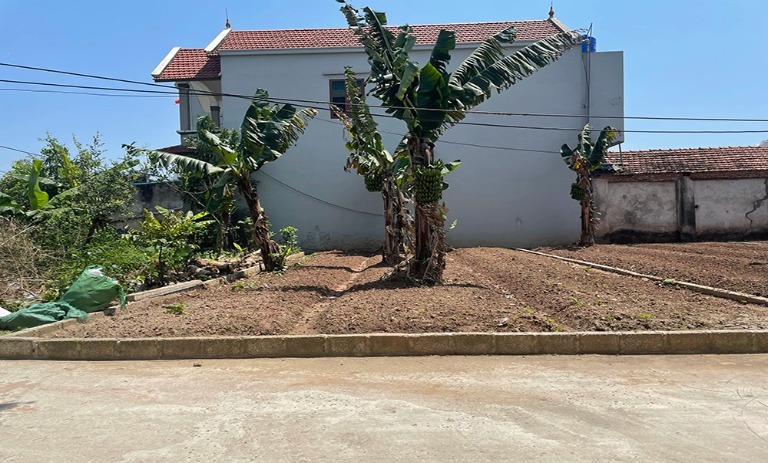 Cần bán gấp 80m2 đất đấu giá Thôn Bãi Sậy, Tân Dân, Khoái Châu, Hưng Yên.