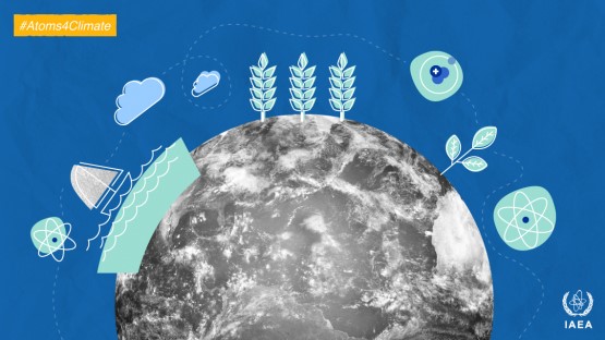 3. Ứng Dụng Trong Bảo Vệ Thực Vật