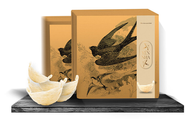 KINGKORE - CANH HẦM THƯỢNG HẠNG