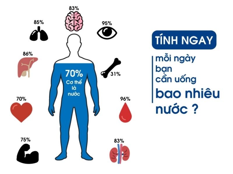 Bạn cần uống bao nhiêu nước mỗi ngày thì tốt nhất?
