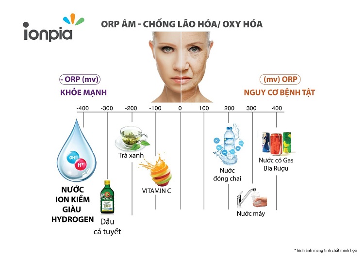 Nước được tạo thành chứa OFP chống lão hóa hiệu quả