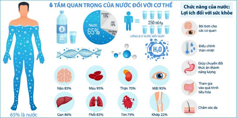 Nước rất cần thiết đối với cơ thể
