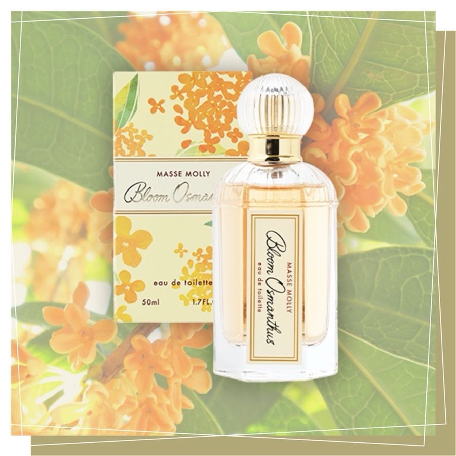 Nước hoa hương kim mộc Massa Molly Bloom Osmanthus 50ml