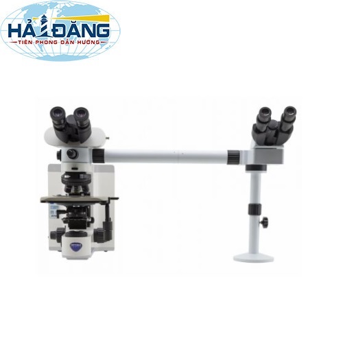 B-1000Ti-2 - Kính hiển vi hội thảo 2 người quan sát Optika