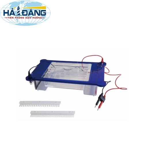 ET-H3 BIOBASE - Bộ điện di ngang