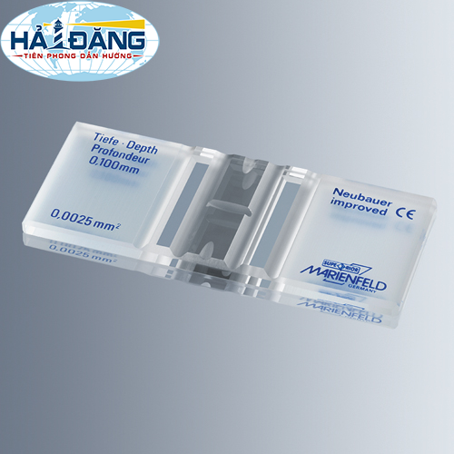 Buồng đếm Neubauer, tráng bạc với V-SLASH, 0650030 Marienfeld - Đức