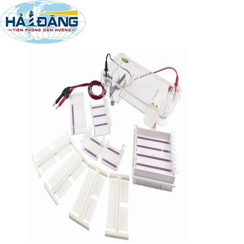 ET-H2 BIOBASE - Bộ điện di ngang