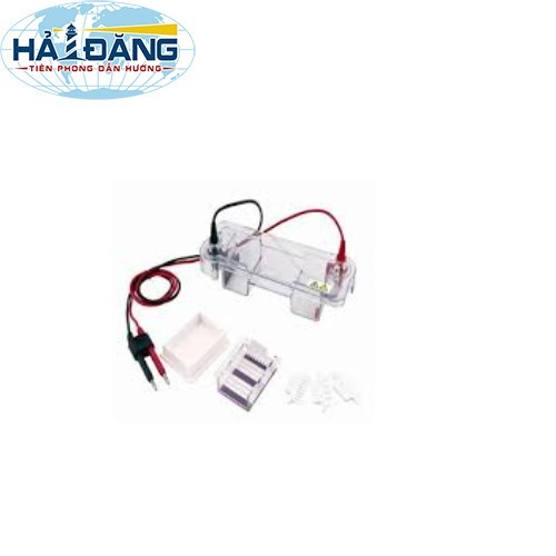 BỘ ĐIỆN DI NGANG ET-H1 Biobase