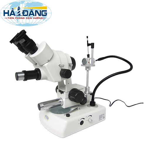 Kính hiển vi soi nổi KSW5000-T-K-W hãng Kruss - Đức