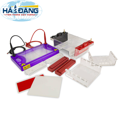 Bộ điện di ngang MultiSUB Max - MSMAXI hãng Cleaver Scientific - Anh