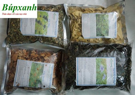 Cây mực | cây phèn đen | Địa chỉ bán cây phèn đen | Bán cây mực
