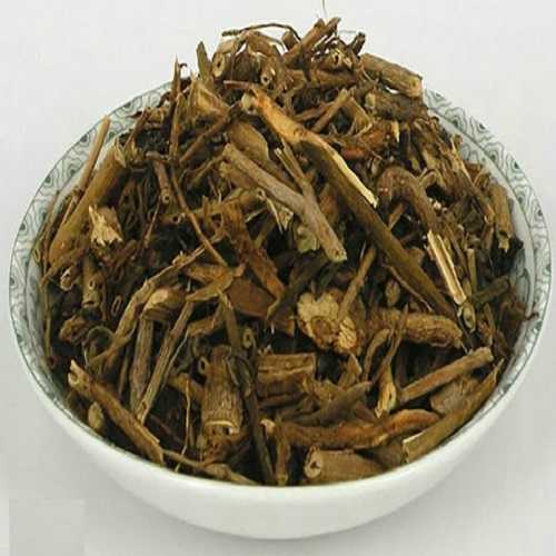 Cây dừa cạn | công dụng cây dừa cạn | địa chỉ bán dừa cạn khô