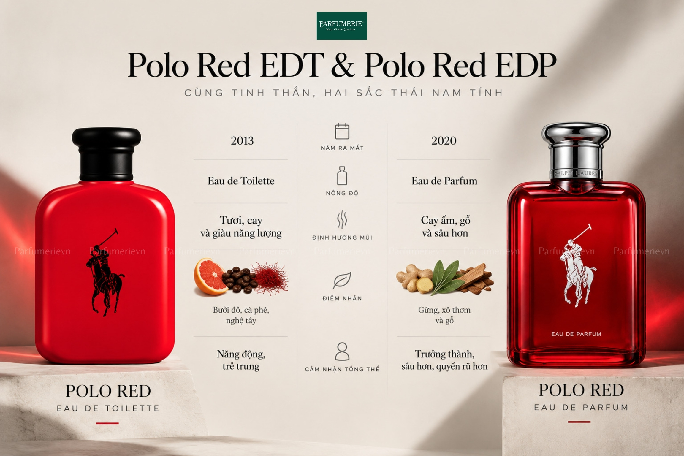 Polo Red EDP khác gì với Polo Red EDT