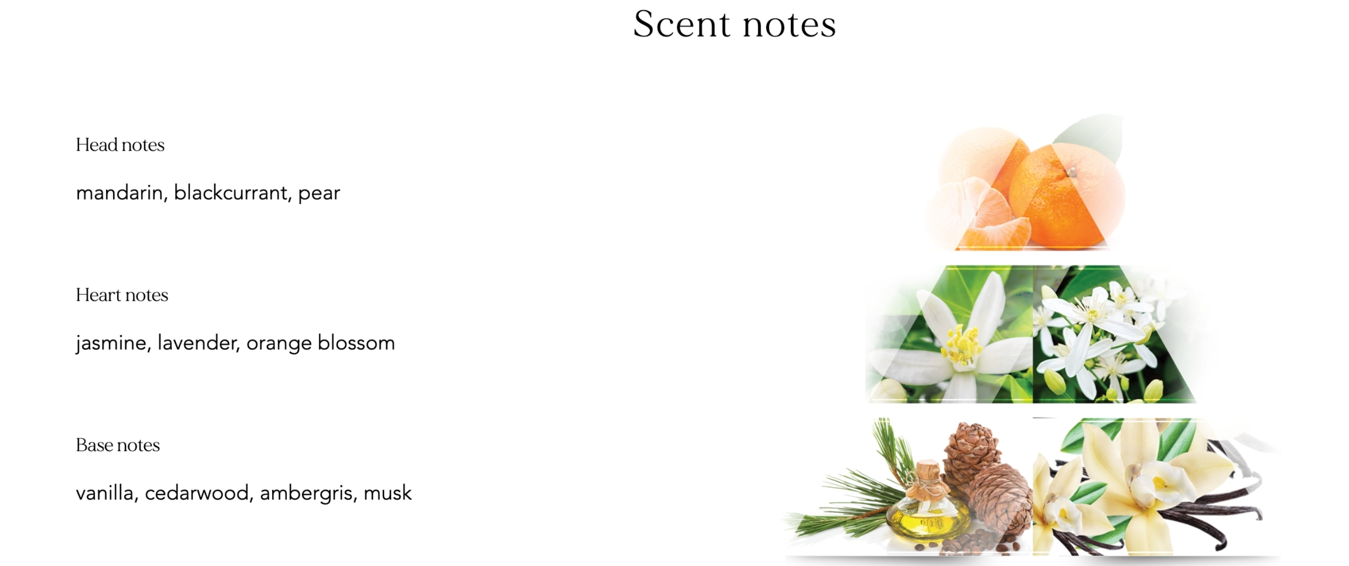 Thành phần hương của nước hoa La Rive Destinée EDP