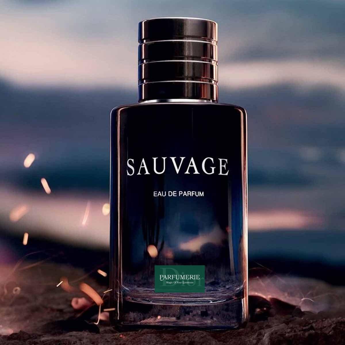 BLEU DE CHANEL vs DIOR SAUVAGE EDT vs DIOR HOMME EDT  Which Cologne is The  Best  YouTube