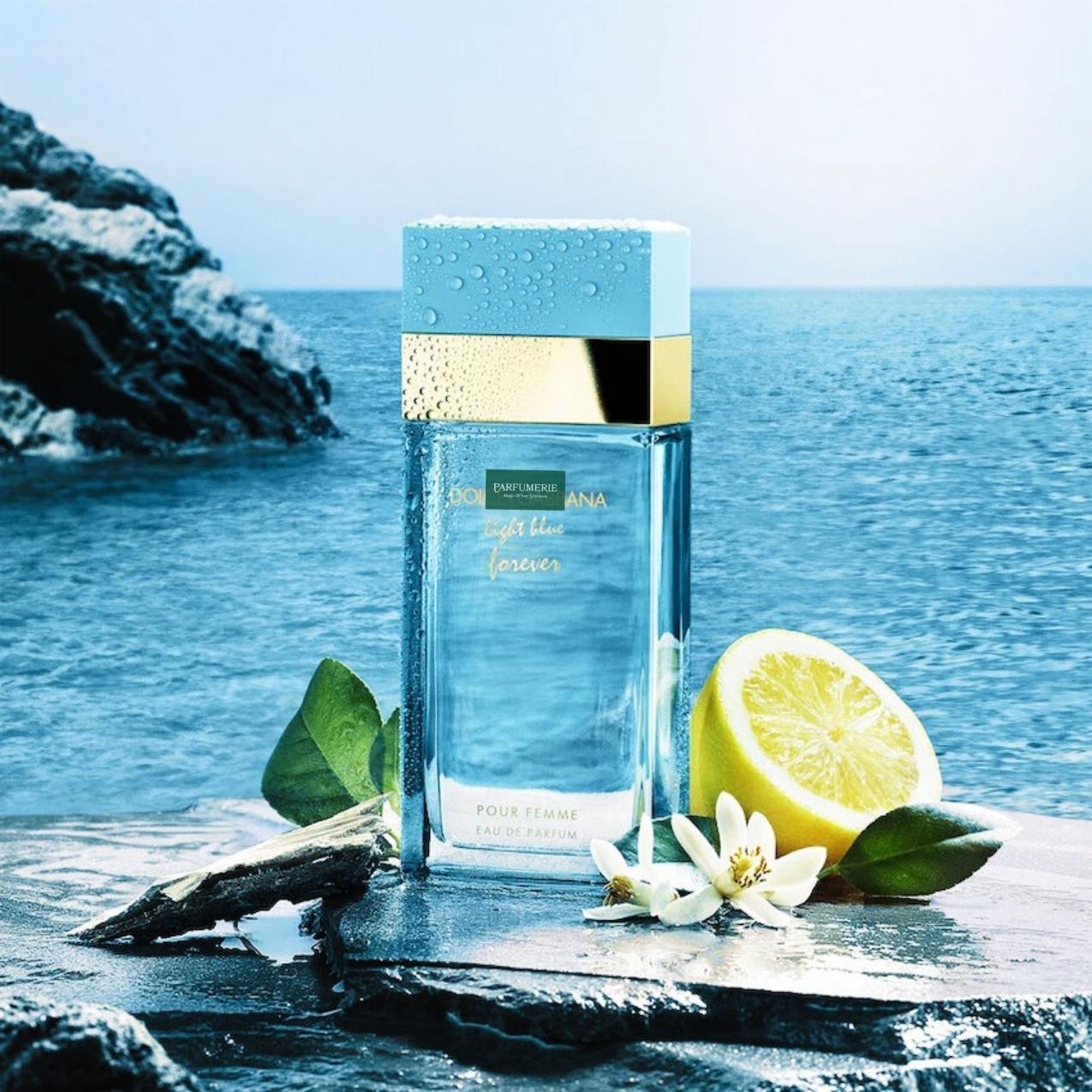Pour Femme Dolce And Gabbana Ocean Blue Dolce Gabbana Light Blue