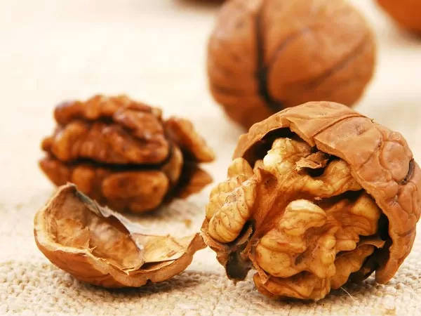 Lợi ích của quả óc chó với em bé