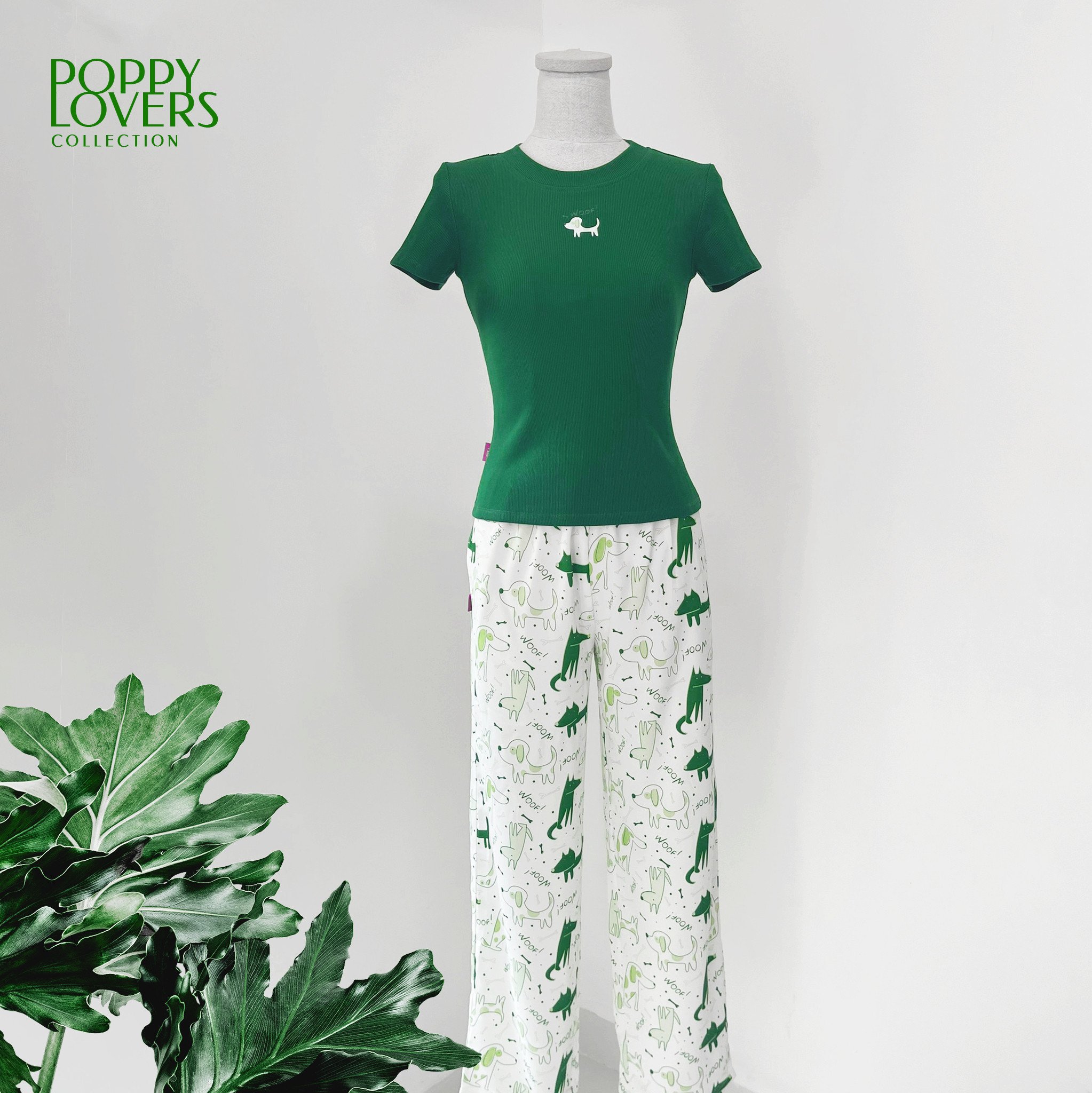 Set FLA1Q3 nhiều màu 