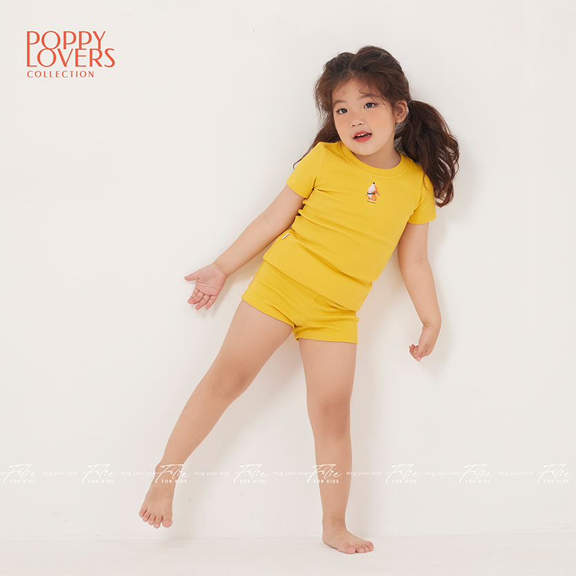 Set FKLA1Q1 nhiều màu 