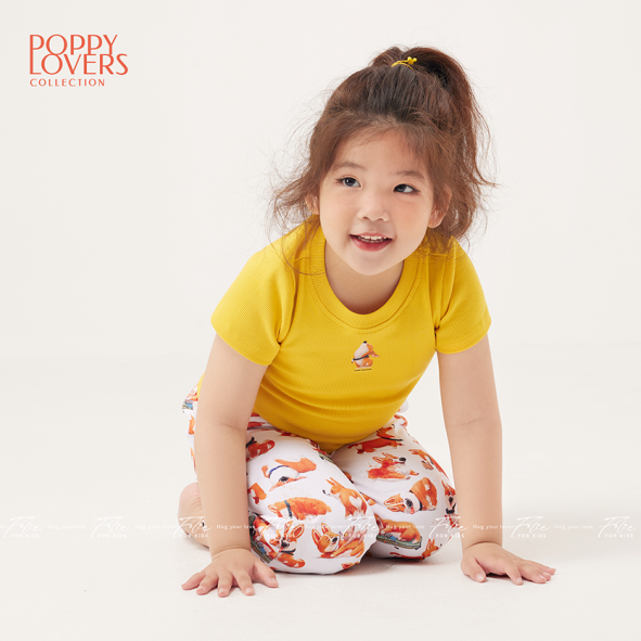 Set FKLA1Q3 nhiều màu 