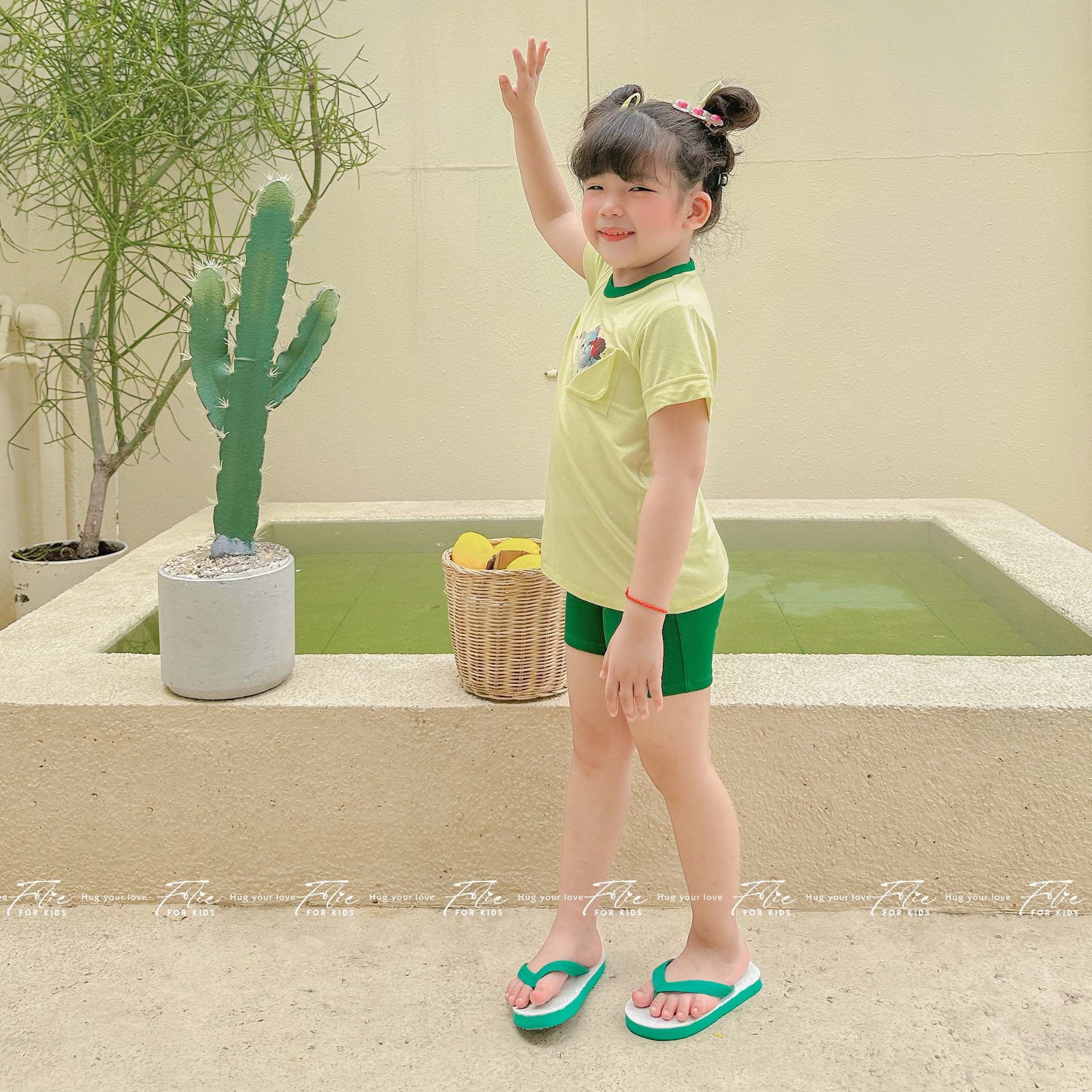 Set FKLA10Q5 (2 màu) 