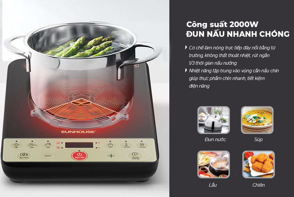 BẾP TỪ ĐƠN SUNHOUSE SHD6165