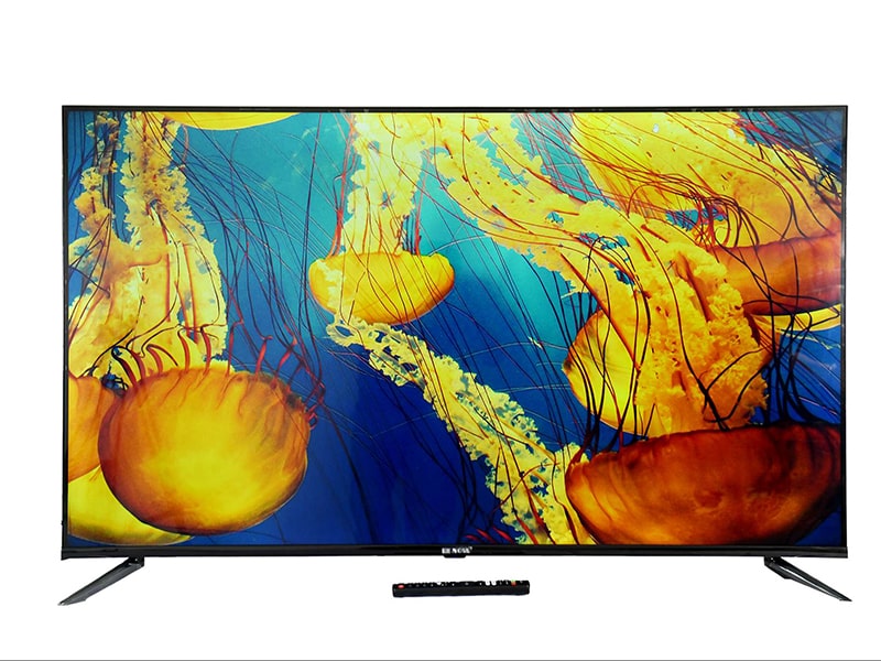 TIVI RENOVA R55G 55inch