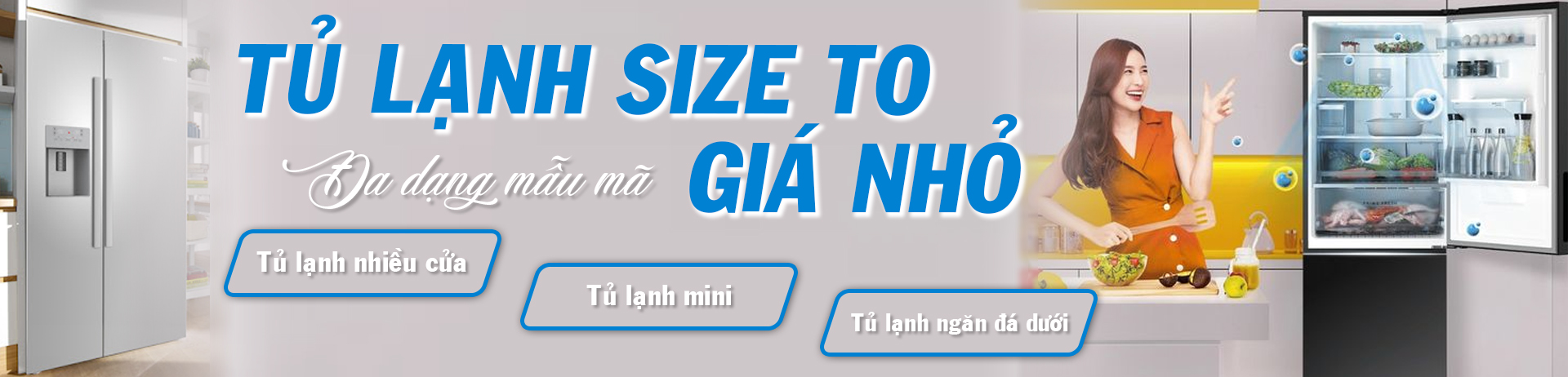Evo Điện Máy