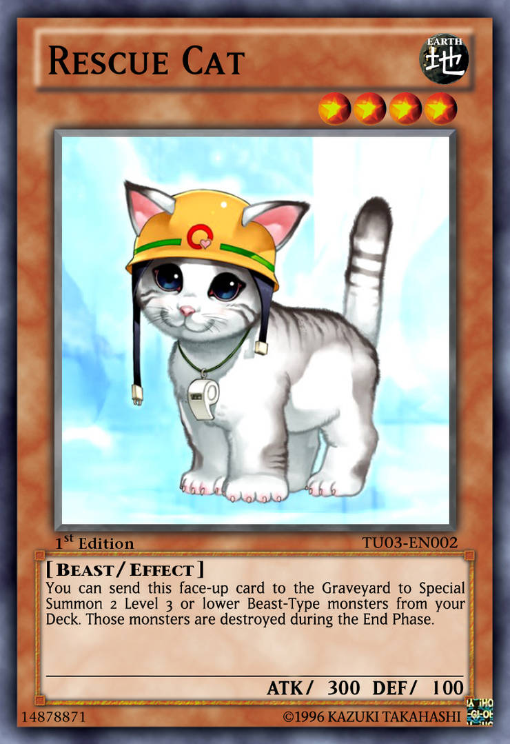 Rescue Cat