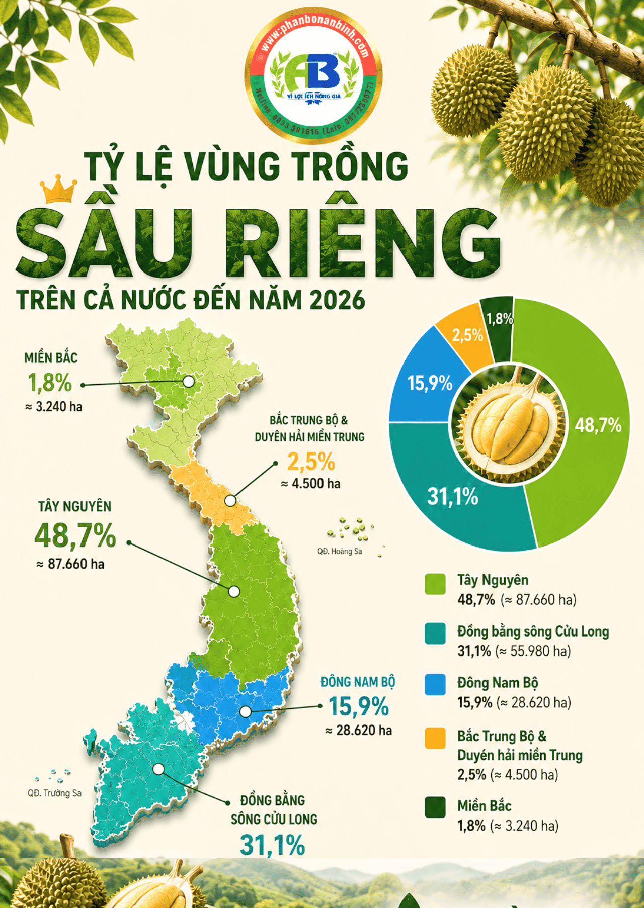 SẦU RIÊNG VIỆT NAM: DIỆN TÍCH VÙNG TRỒNG TẬP TRUNG Ở ĐÂU?