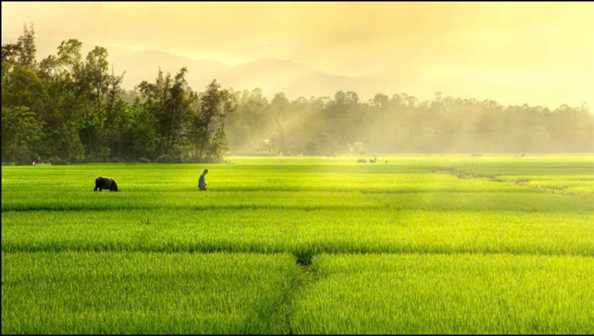 Biến Đổi KHí Hậu và Tình trạng Xâm Mặn của Miền Nam Việt Nam