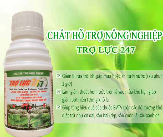 Phụ Gia Thuốc BVTV