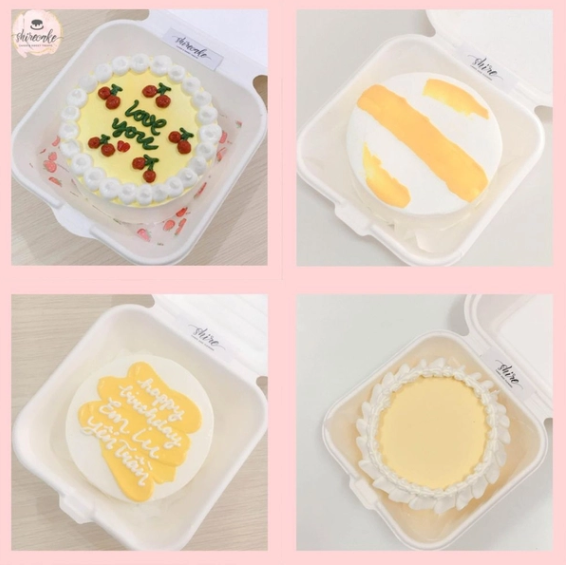 Mini Bento tone màu vàng - Bánh kem bơ mini hộp bã mía