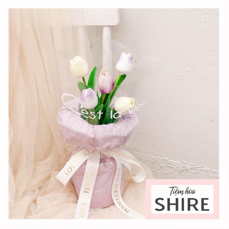 Hoa tulip dạng ụ