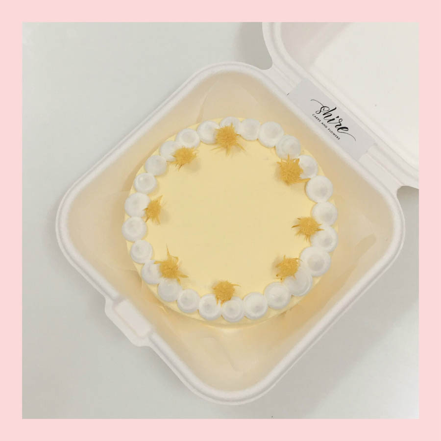 Mini Bento vẽ hoa lá - Bánh kem bơ mini hộp bã mía