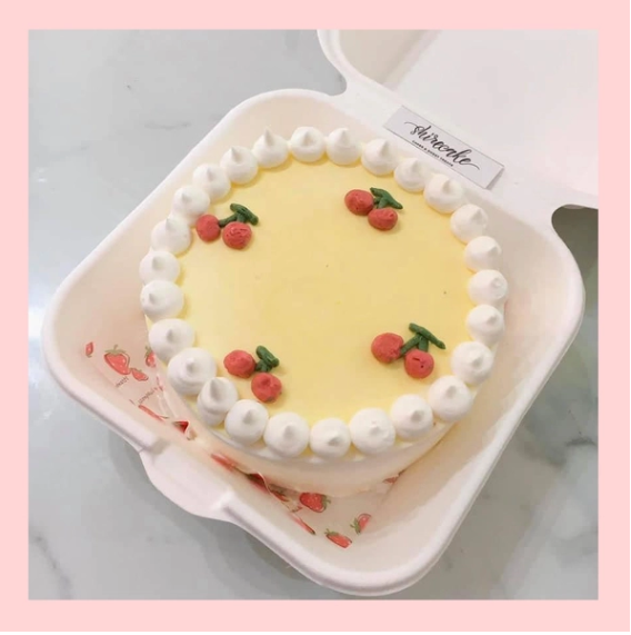 Mini Bento tone màu vàng - Bánh kem bơ mini hộp bã mía