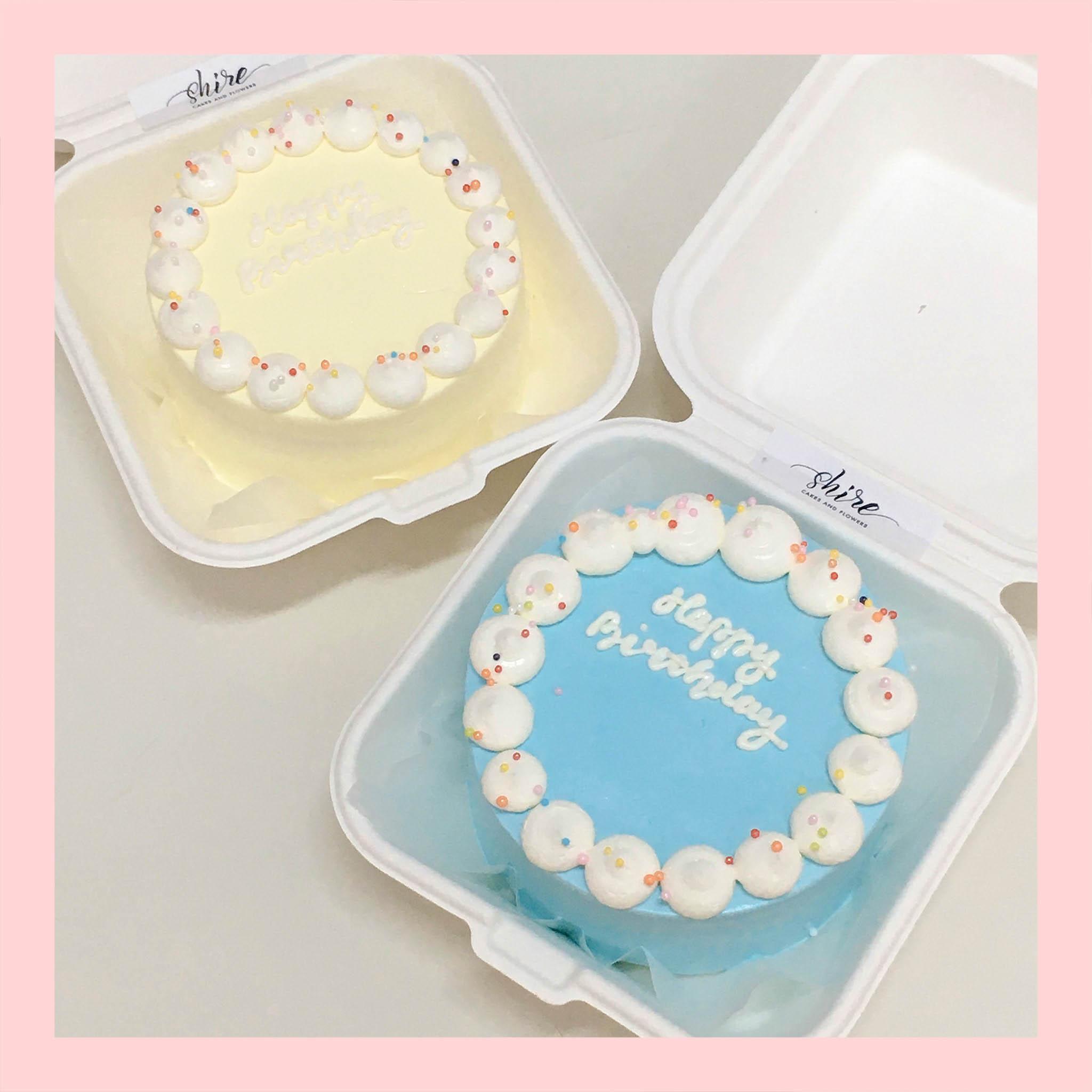 Mini Bento tone màu xanh dương - Bánh kem bơ mini hộp bã mía